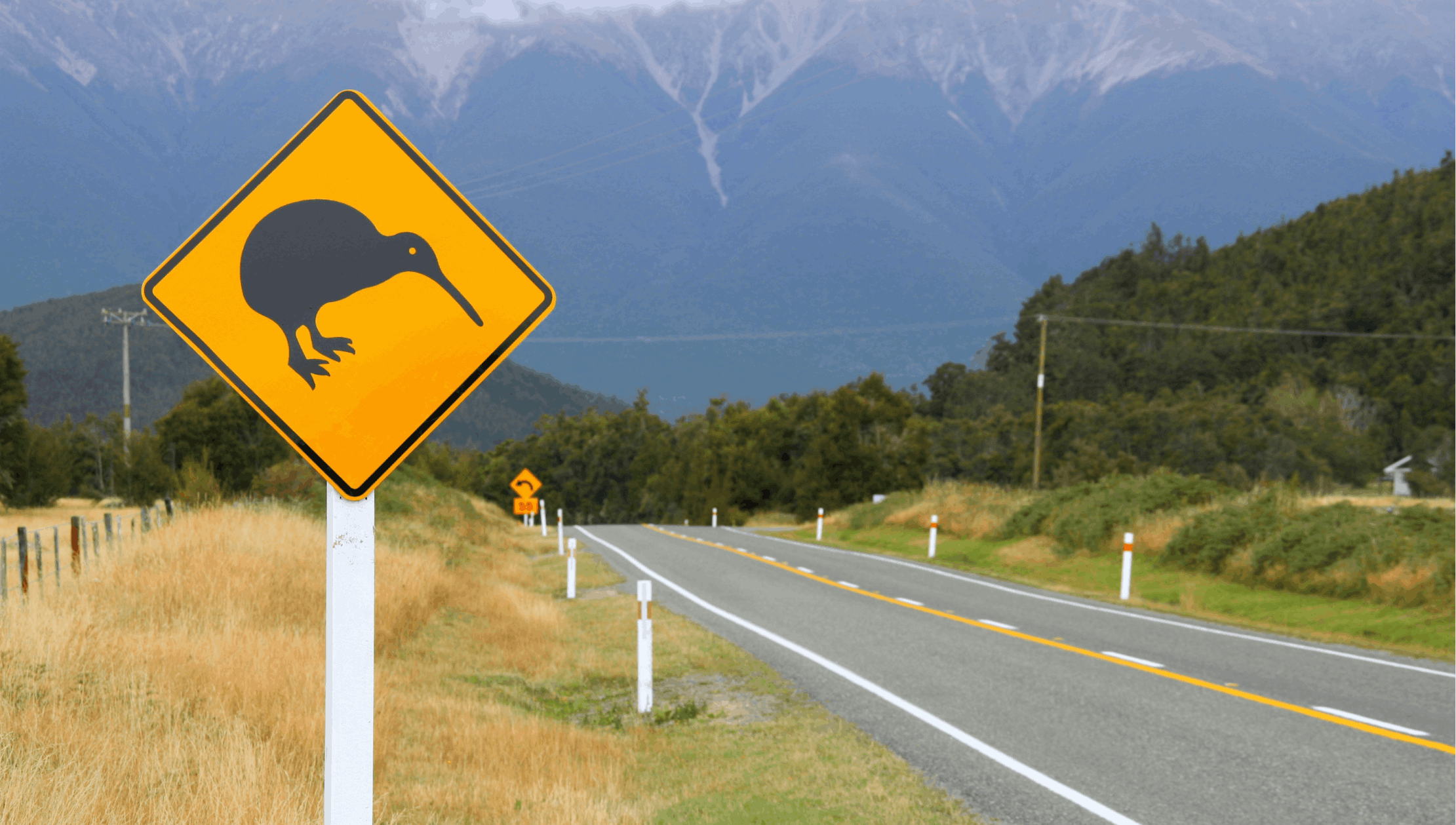 Yellow kiwi crossing road sign beside a scenic rural highway with mountains in the background in New Zealand.